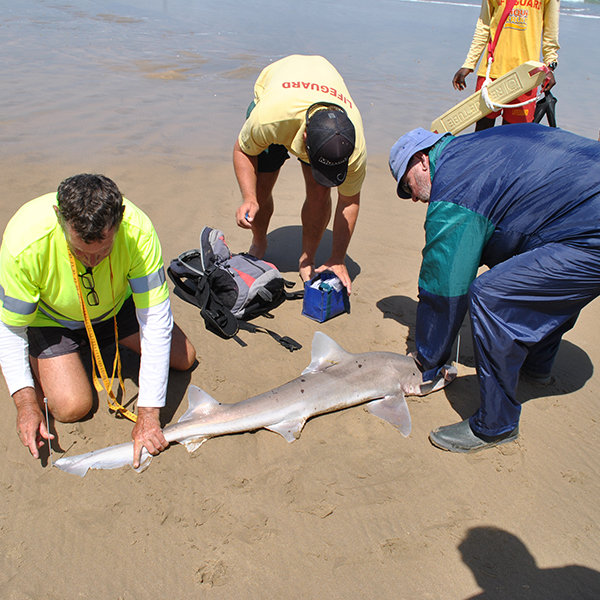 Eden Shore Angling
